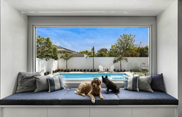 Imagine spending every weekend enjoying this view with your fur friends. Thanks to our Vantage system, the whole family can enjoy this comfortable spot 😍